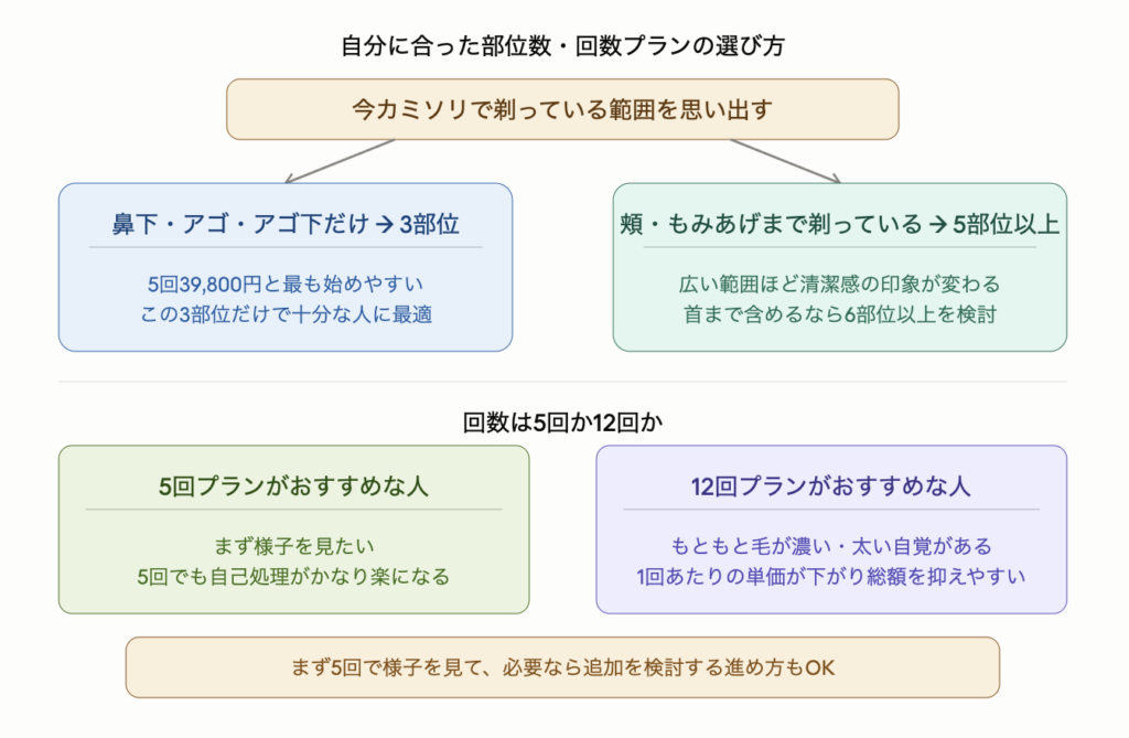 今カミソリで剃っている範囲を基準にプランを選ぶ方法を示した図解。鼻下・アゴ・アゴ下だけなら3部位プランで5回39,800円と最も始めやすい。頬やもみあげまで剃っているなら5部位以上で範囲が広いほど清潔感の印象が変わる。回数は毛が普通なら5回で自己処理がかなり楽になり、もともと毛が濃い・太い人は12回プランの方が1回あたりの単価が下がり総額を抑えやすい。まず5回で様子を見て必要なら追加を検討する進め方もできる。