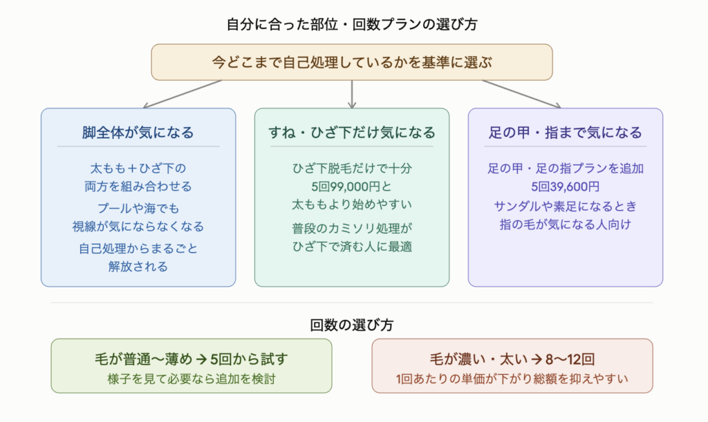 今どこまで自己処理しているかを基準に脚脱毛の部位を選ぶ方法を示した図解。脚全体が気になる人は太もも+ひざ下の両方を組み合わせるとプールや海でも視線が気にならなくなり自己処理からまるごと解放される。すねやひざ下だけ気になる人はひざ下脱毛だけで十分で5回99,000円と始めやすい。足の甲・指まで気になる人はオプションプランを追加で5回39,600円。回数は毛が普通〜薄めなら5回から試して様子を見る、毛が濃い・太い自覚がある人は8〜12回プランの方が1回あたりの単価が下がり総額を抑えやすい。
