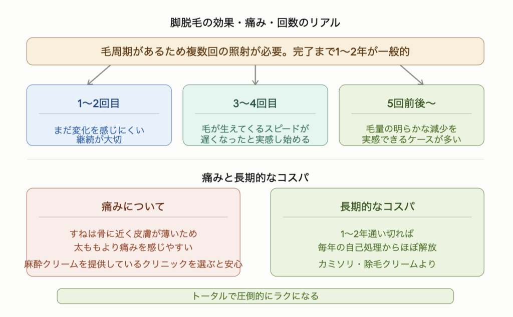 脚脱毛の効果・痛み・回数のリアルを示した図解。毛周期があるため複数回の照射が必要で完了まで1〜2年が一般的。回数ごとの変化は1〜2回目はまだ変化を感じにくく継続が大切、3〜4回目から毛が生えてくるスピードが遅くなったと実感し始める、5回前後から毛量の明らかな減少を実感できるケースが多い。痛みはすねが骨に近く皮膚が薄いため太ももより感じやすく麻酔クリームを提供しているクリニックを選ぶと安心。1〜2年通い切れば毎年の自己処理からほぼ解放されカミソリや除毛クリームを使い続けるよりトータルで圧倒的にラクになる。