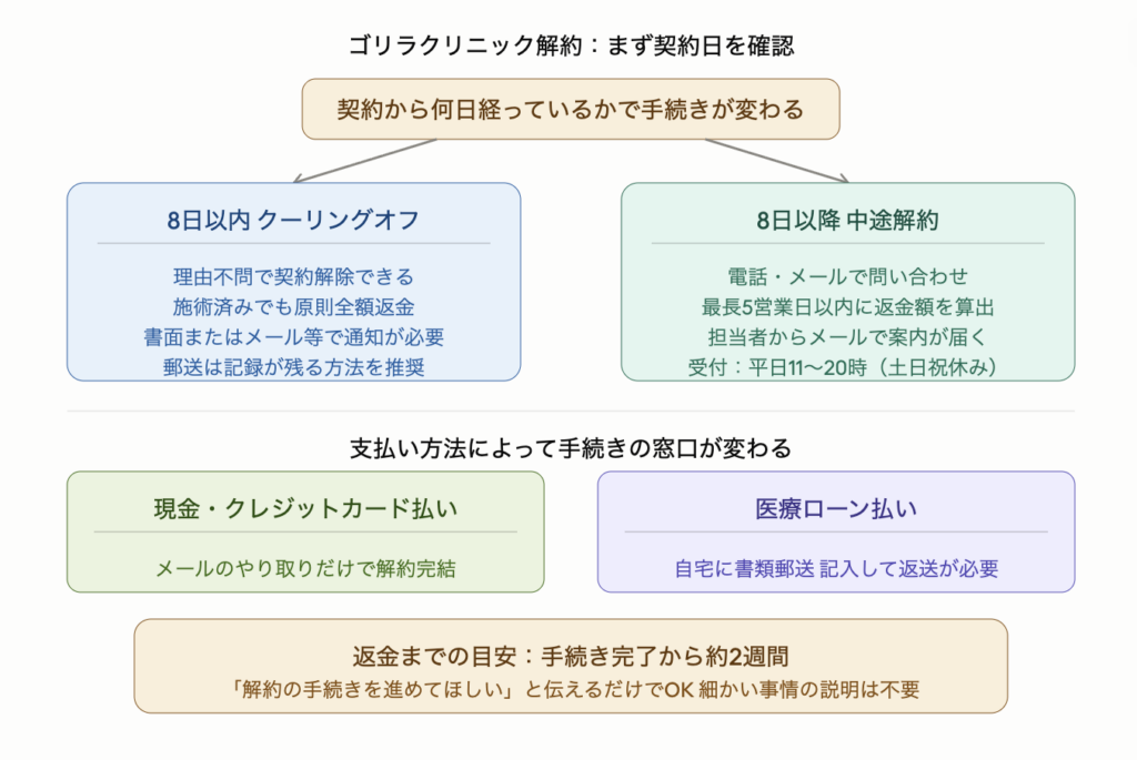 ゴリラクリニックの解約手順を示した図解。契約から8日以内はクーリングオフで理由不問で解除でき施術済みでも原則全額返金されるが書面またはメールでの通知が必要。8日以降は中途解約で電話・メールで問い合わせると最長5営業日以内に返金額が算出され担当者からメールで案内が届く。支払い方法によって手続きが異なり現金・クレジットカードはメールのみで完結、医療ローンは自宅に書類が郵送され記入して返送が必要。返金までの目安は手続き完了から約2週間。